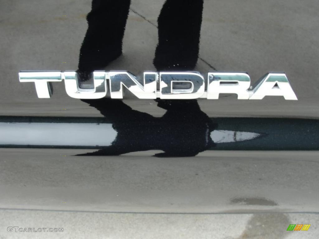2010 Tundra Double Cab - Black / Graphite Gray photo #19