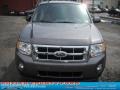 2011 Sterling Grey Metallic Ford Escape XLT 4WD  photo #20