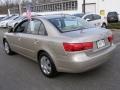 2010 Camel Pearl Hyundai Sonata GLS  photo #5