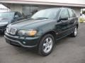 2001 Oxford Green Metallic BMW X5 4.4i  photo #1