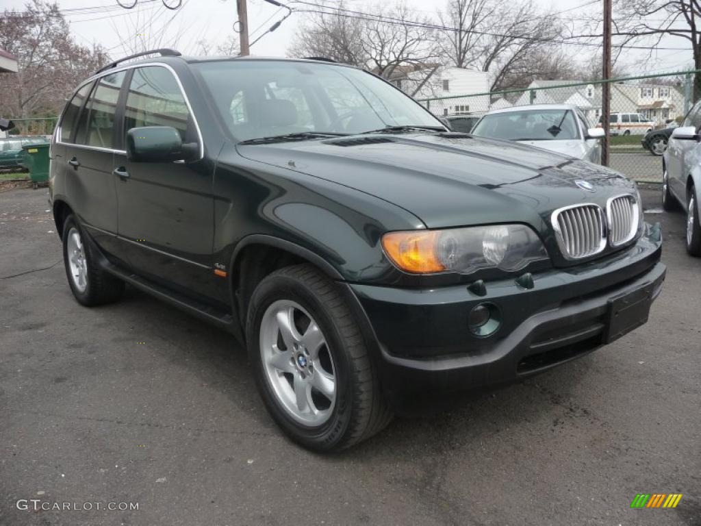 2001 X5 4.4i - Oxford Green Metallic / Beige photo #2