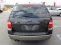 2007 Alloy Metallic Ford Freestyle SEL  photo #6