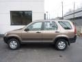 Mojave Mist Metallic 2004 Honda CR-V LX 4WD
