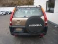 2004 Mojave Mist Metallic Honda CR-V LX 4WD  photo #3