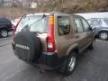 2004 Mojave Mist Metallic Honda CR-V LX 4WD  photo #4