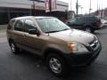 2004 Mojave Mist Metallic Honda CR-V LX 4WD  photo #5