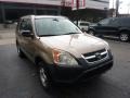 2004 Mojave Mist Metallic Honda CR-V LX 4WD  photo #6