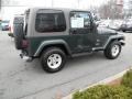 2004 Shale Green Metallic Jeep Wrangler Sahara 4x4  photo #1