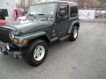 2004 Shale Green Metallic Jeep Wrangler Sahara 4x4  photo #3