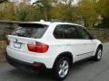 Alpine White - X5 3.0si Photo No. 11