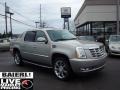 Quicksilver - Escalade EXT AWD Photo No. 1