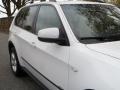 Alpine White - X5 3.0si Photo No. 13