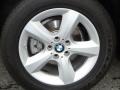 Alpine White - X5 3.0si Photo No. 30