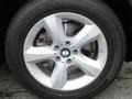 Alpine White - X5 3.0si Photo No. 31