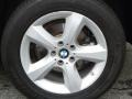 Alpine White - X5 3.0si Photo No. 32