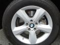 Alpine White - X5 3.0si Photo No. 33