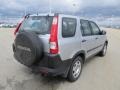 2005 Satin Silver Metallic Honda CR-V LX 4WD  photo #13