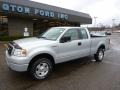 2006 Silver Metallic Ford F150 STX SuperCab 4x4  photo #8