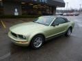 2005 Legend Lime Metallic Ford Mustang V6 Premium Convertible  photo #8
