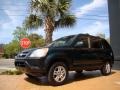 2004 Clover Green Pearl Honda CR-V EX 4WD  photo #3
