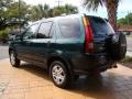 2004 Clover Green Pearl Honda CR-V EX 4WD  photo #5