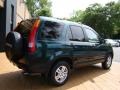 2004 Clover Green Pearl Honda CR-V EX 4WD  photo #7