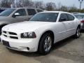 Stone White - Charger  Photo No. 1