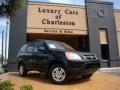2004 Clover Green Pearl Honda CR-V EX 4WD  photo #30