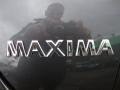 Dark Slate Metallic - Maxima 3.5 SL Photo No. 32