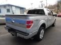 Brilliant Silver Metallic - F150 Platinum SuperCrew 4x4 Photo No. 5