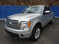 Brilliant Silver Metallic - F150 Platinum SuperCrew 4x4 Photo No. 11