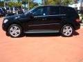 Black - ML 350 Photo No. 2