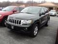 2011 Natural Green Pearl Jeep Grand Cherokee Laredo X Package 4x4  photo #1