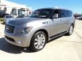 Platinum Graphite 2011 Infiniti QX 56 Exterior