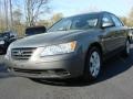 Willow Gray - Sonata GLS Photo No. 1