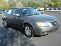 Willow Gray - Sonata GLS Photo No. 7