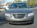 Willow Gray - Sonata GLS Photo No. 8