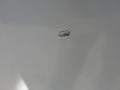 2003 Oxford White Ford Expedition Eddie Bauer  photo #10