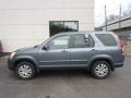 Silver Moss Metallic 2005 Honda CR-V Special Edition 4WD