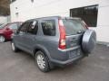 Silver Moss Metallic - CR-V Special Edition 4WD Photo No. 2
