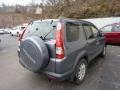 Silver Moss Metallic - CR-V Special Edition 4WD Photo No. 4