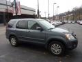 Silver Moss Metallic - CR-V Special Edition 4WD Photo No. 5