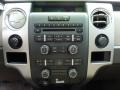 Camel/Tan Controls Photo for 2009 Ford F150 #47637523