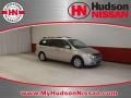 2008 Silver Metallic Kia Sedona LX  photo #1