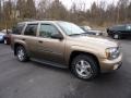 Sandalwood Metallic - TrailBlazer LS 4x4 Photo No. 1