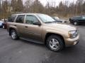 2002 Sandalwood Metallic Chevrolet TrailBlazer LS 4x4  photo #1