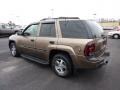 2002 Sandalwood Metallic Chevrolet TrailBlazer LS 4x4  photo #4