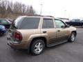 2002 Sandalwood Metallic Chevrolet TrailBlazer LS 4x4  photo #6