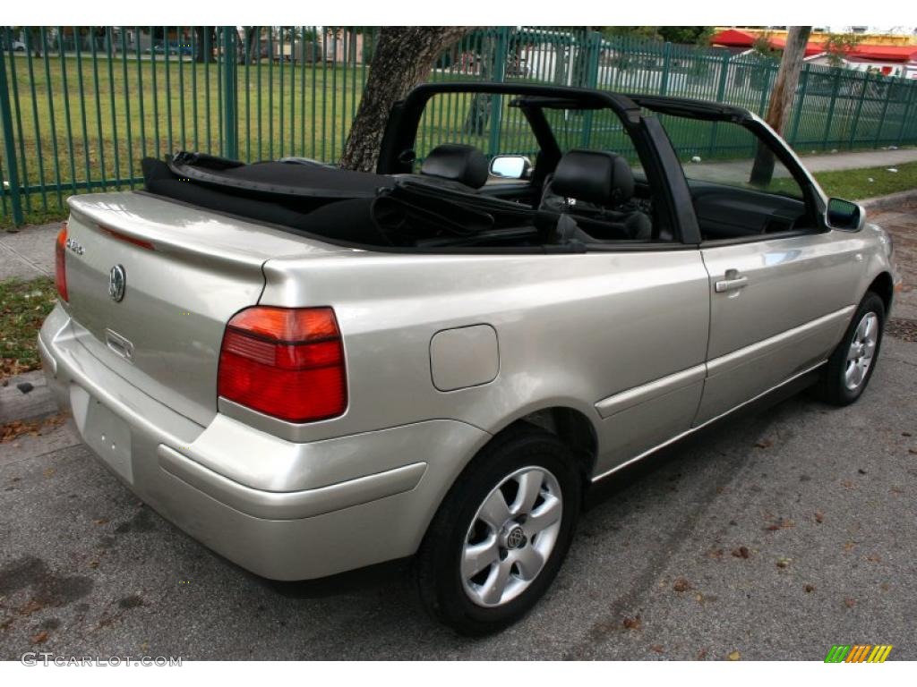 2001 Cabrio GLX - Desert Wind Metallic / Black photo #14