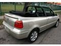 2001 Desert Wind Metallic Volkswagen Cabrio GLX  photo #14